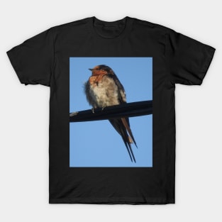 Welcome Swallow T-Shirt